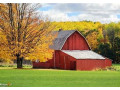 michigans-best-sheds-small-0