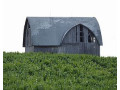 michigans-best-sheds-small-1