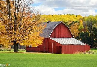 michigans-best-sheds-big-0