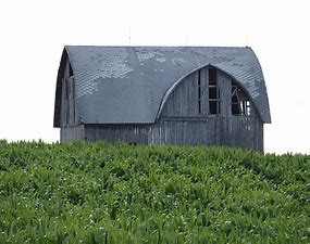 michigans-best-sheds-big-1