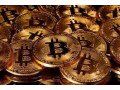 smart-bitcoin-investments-general-service-small-1
