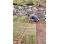 mikes-landscaping-free-estimates-lowes-prices-small-0