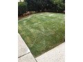 lawn-mowing-carereliable-affordable-small-1