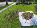 flower-bed-landscaping-installations-garden-clean-up-tree-trimming-small-0