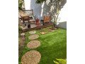 need-gardener-landscapingtree-trimming-small-1