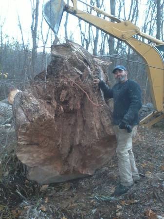 tree-removal-21-years-exp-big-2