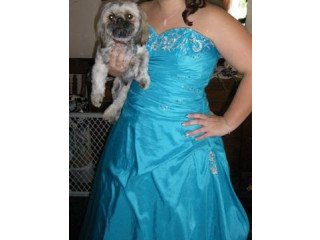 $250 OBO Formal/ Prom Dress Blue Cinderellaish