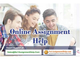 Online Assignment Help - from No1AssignmentHelp.Com