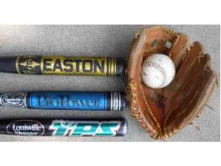 Easton -OR- Louisville Slugger Baseball Bat -OR Glove & Ball $10ea