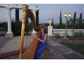 Harpist or classical guitarist for weddings & all events