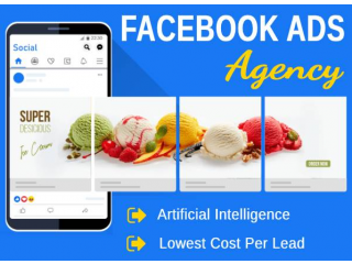 Facebook Ads Agency | PPC Advertising | Instagram Ads (Marketing: SEO,Pay Per Click,Websites)