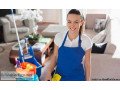carpet-cleaning-company-free-window-cleaning-small-0