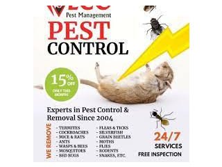Pest Control or Animal Removal Services in your Area